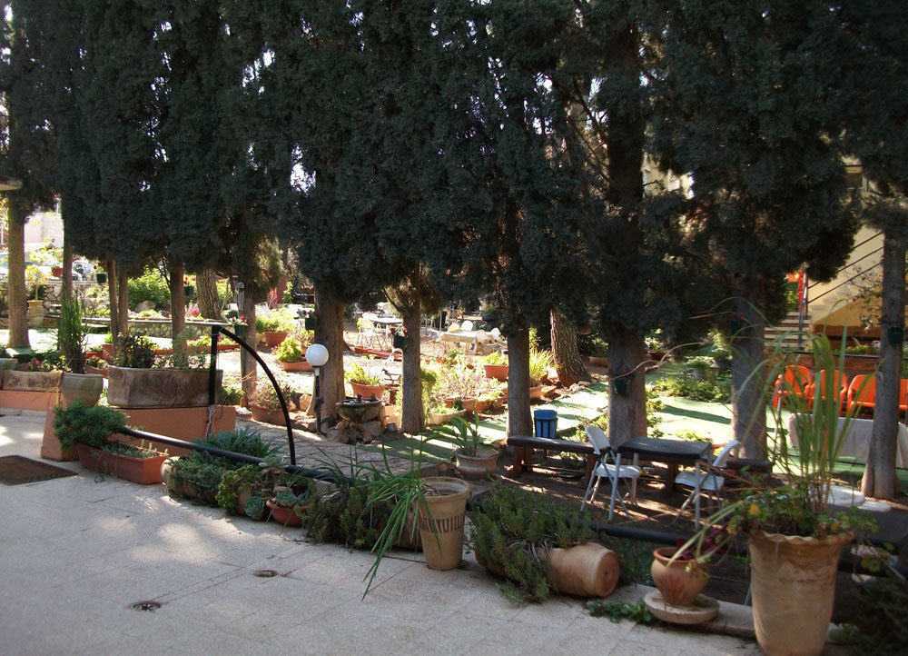 Safed Inn Eksteriør billede